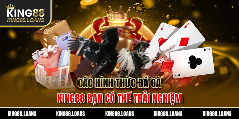 Các hình thức đá gà King88 bạn có thể trải nghiệm