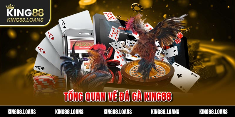 Tổng quan chung về đá gà King88 bạn cần biết