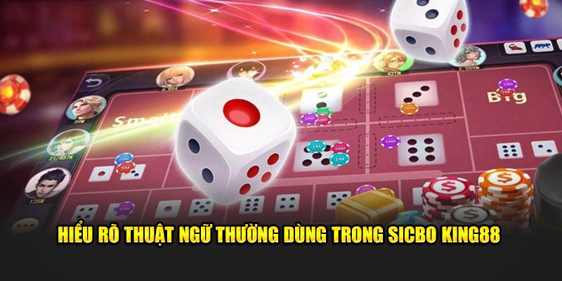 Hiểu rõ thuật ngữ thường dùng trong Sicbo KING88